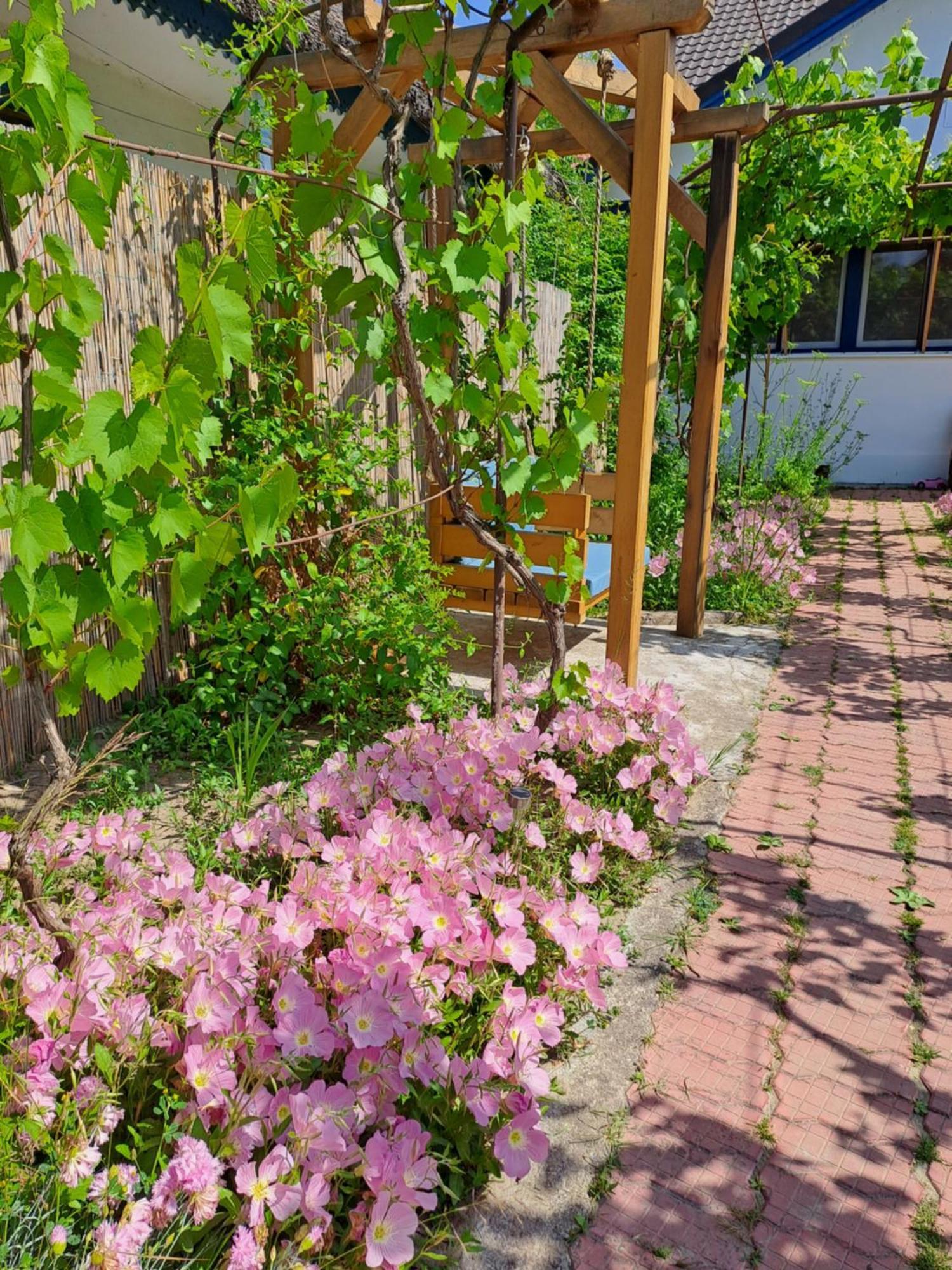 Pensiunea Valurile Dunarii Sfantu Gheorghe  Bagian luar foto